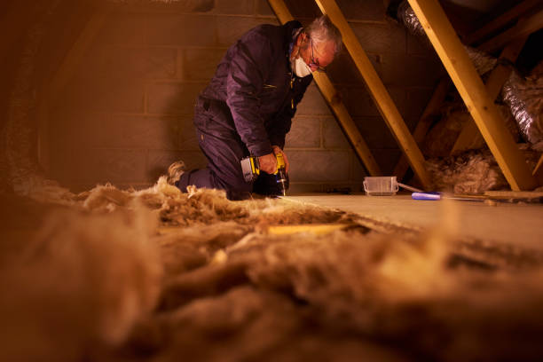 Best Insulation Maintenance and Repair in Clifton, TN